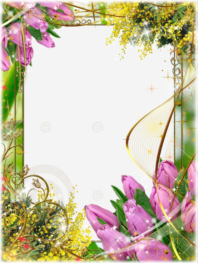 March 8 beautiful tulips psd frame png