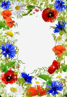 Framework for a photo - Beautiful spring ( free photo frame png psd ...