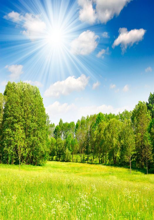 Spring Frame Nature Frame - Spring awakening of nature