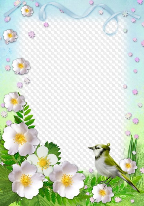 Among spring flowers, spring frame