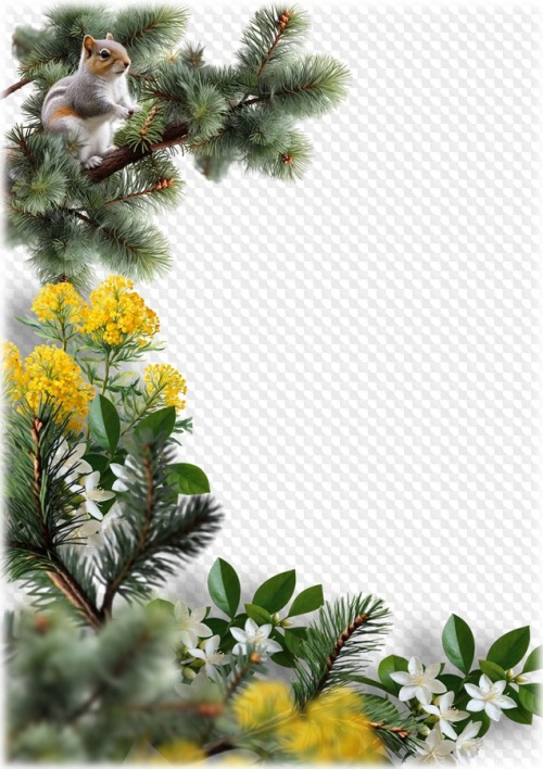 Летняя фоторамка коллаж PNG, PSD